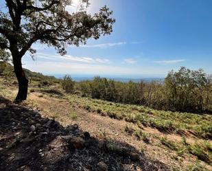 Residential for sale in Jarandilla de la Vera