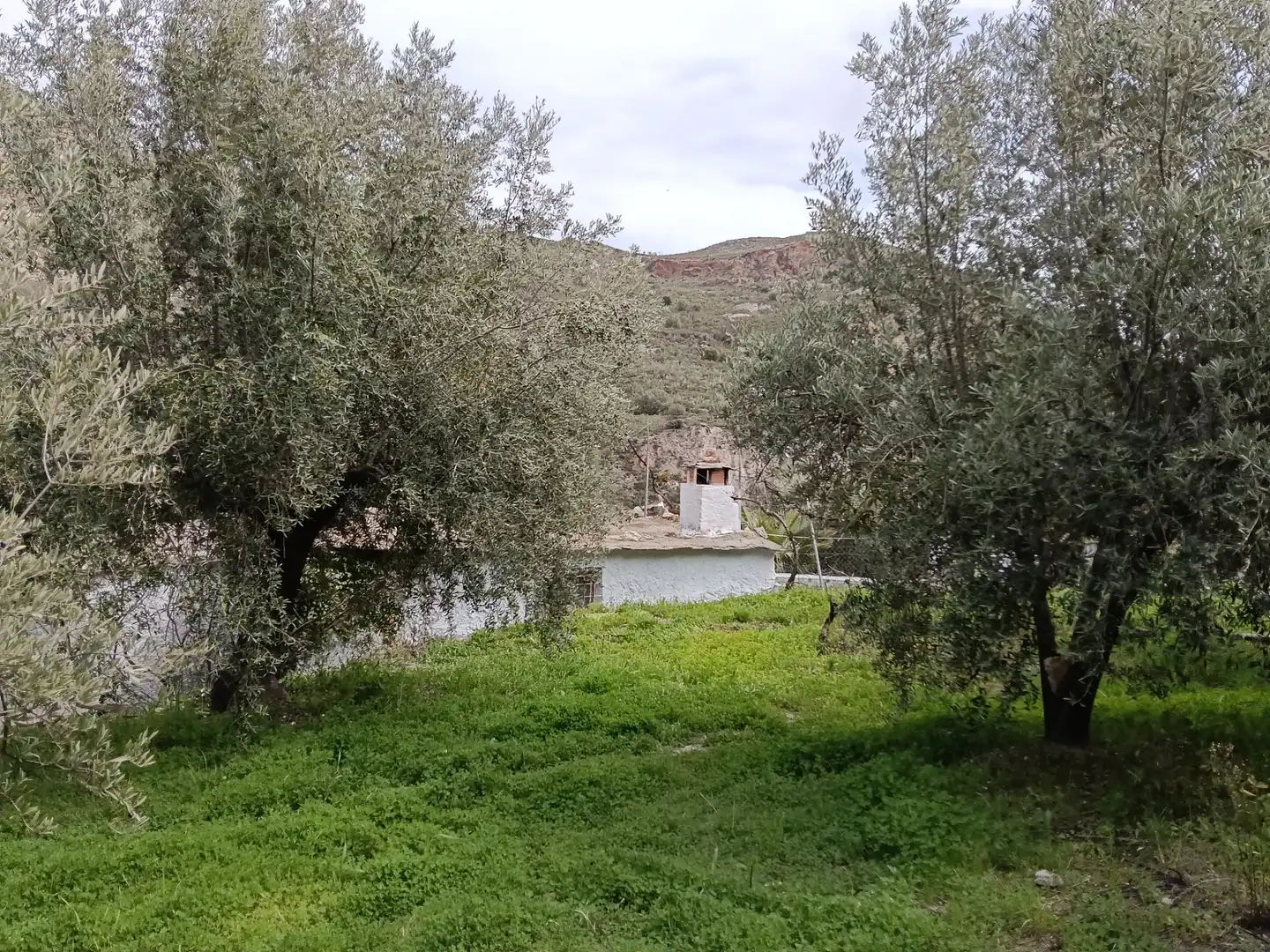 Terreni e lotti in vendita a Alpujarra de la Sierra, imagen 21