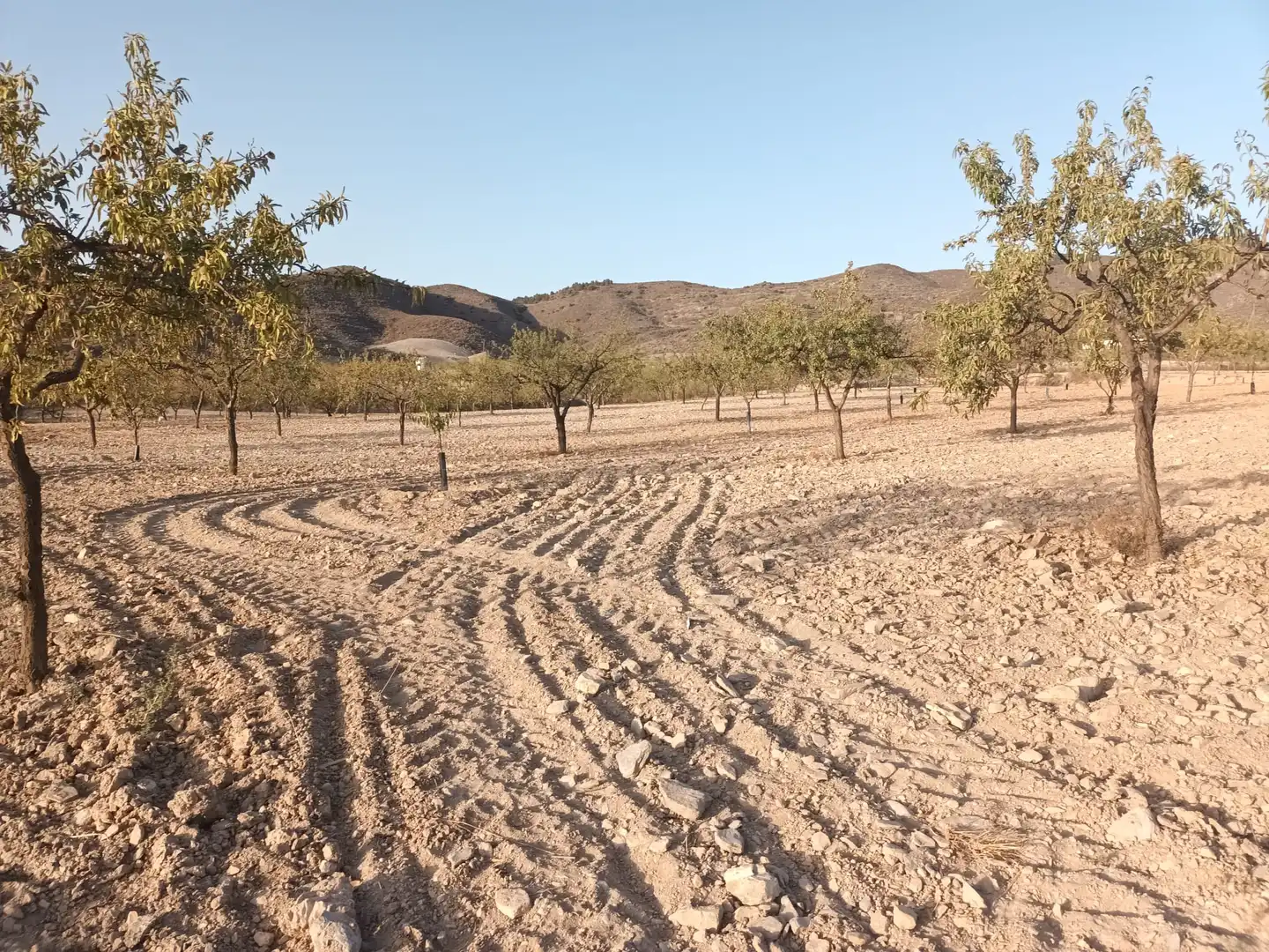 Terreno rustico in vendita a Lugar las Barrenas 6, imagen 43