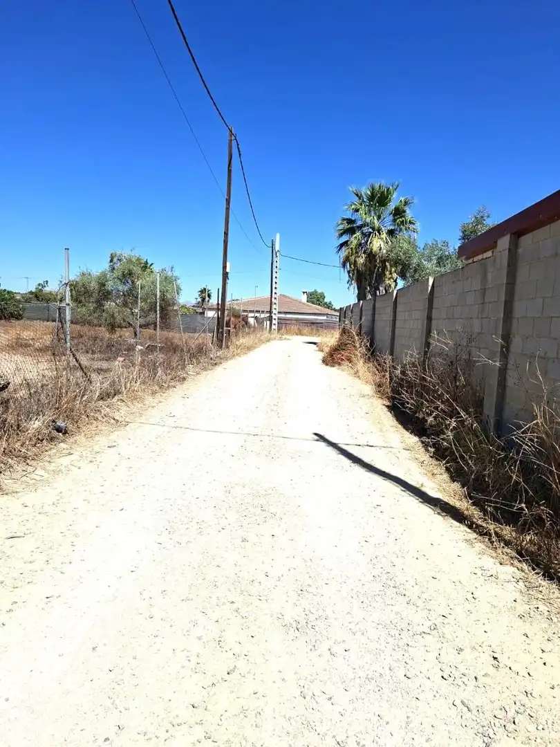 Finca rústica en venta en Almensilla con Trastero