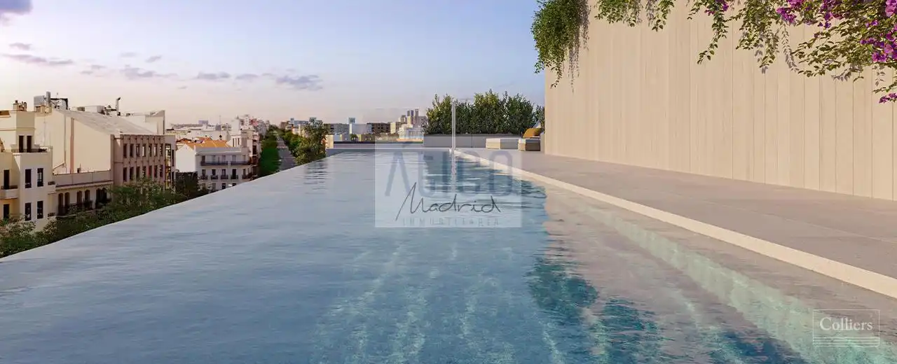 Penthouse with pool for sale in San Bernardo, imagen 10