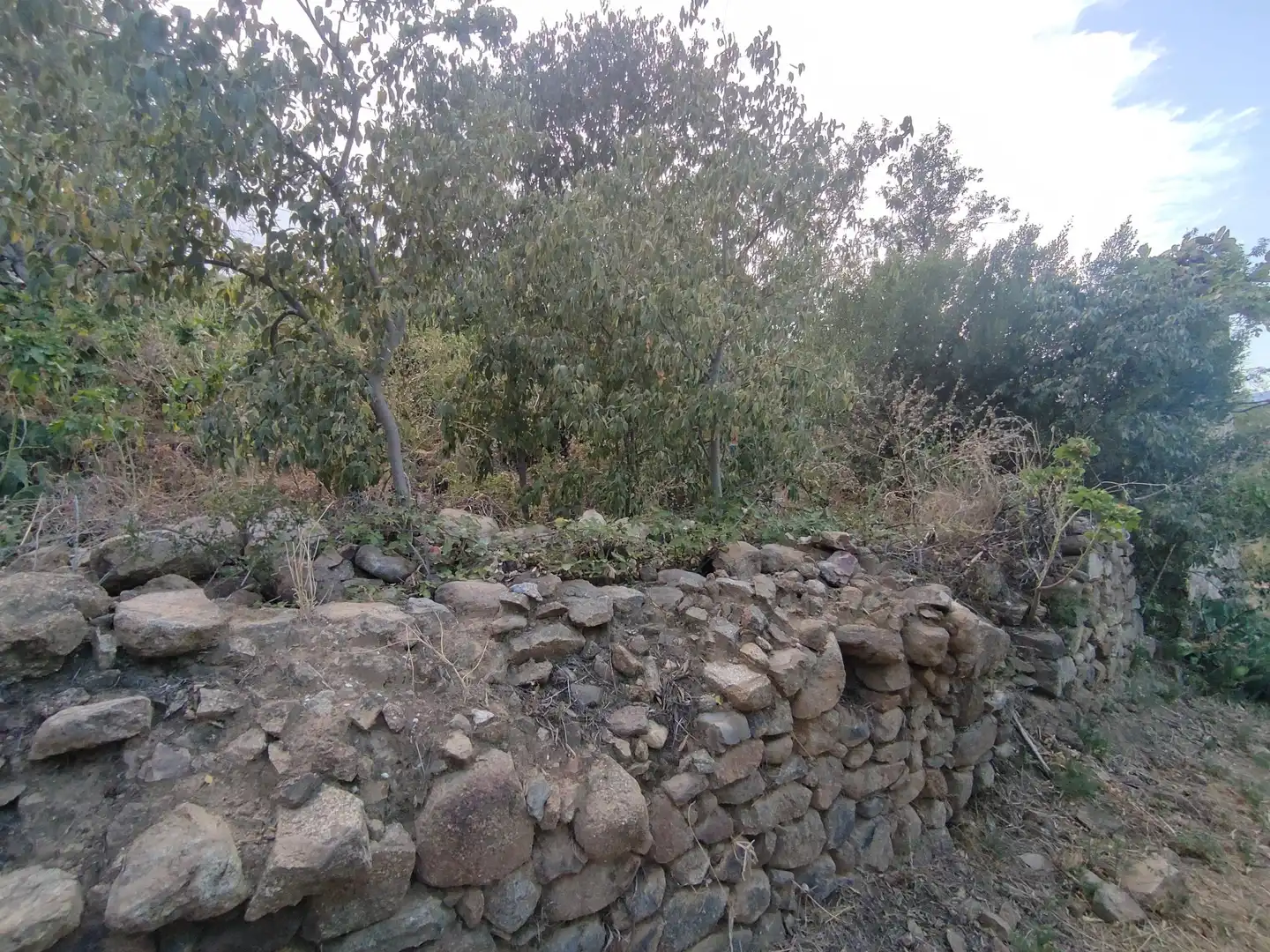 Casa o xalet en venda en Sant Climent Sescebes