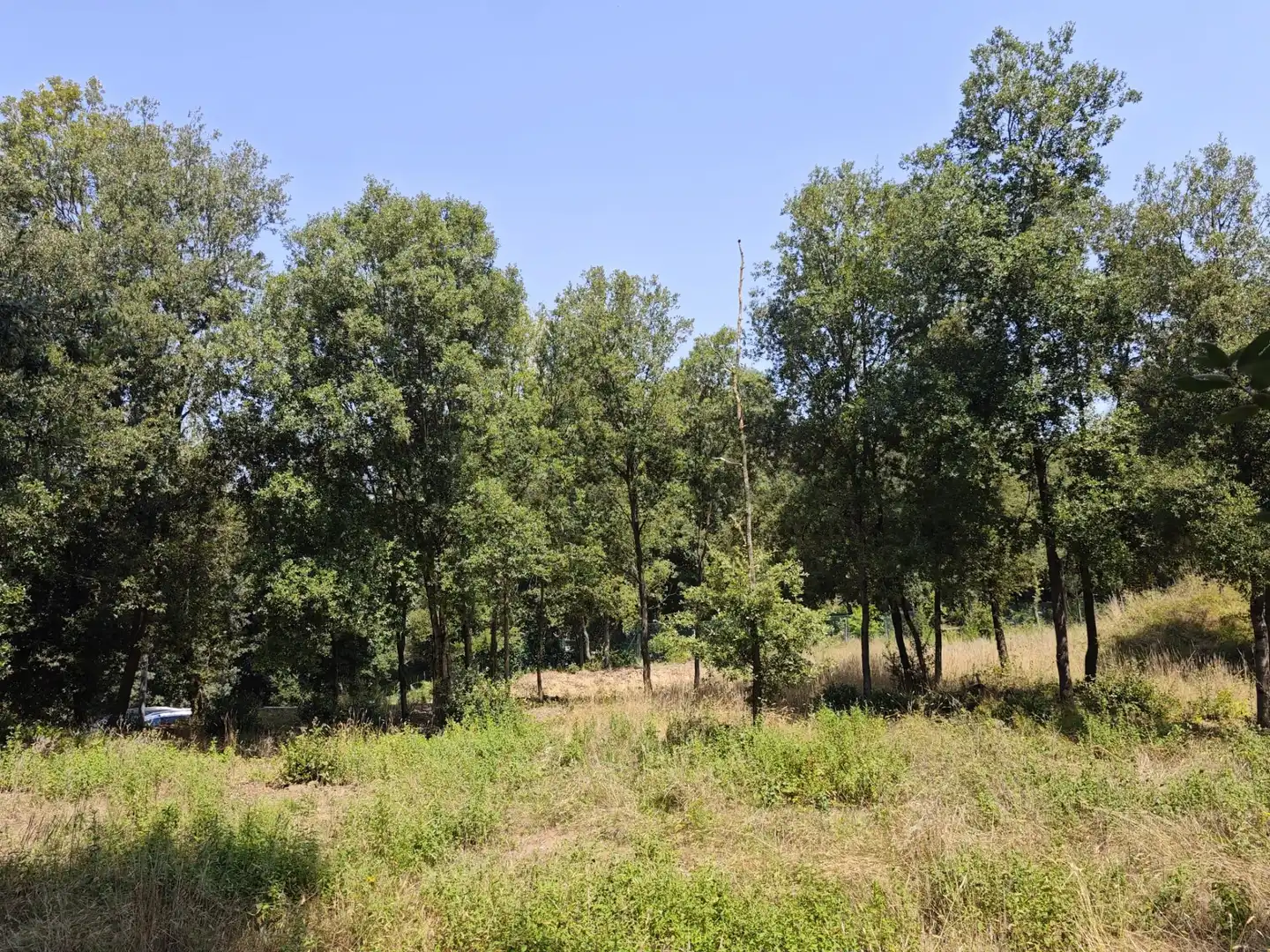 Terrenys i solars en venda a DE SALVADOR ESPRIU, imagen 18