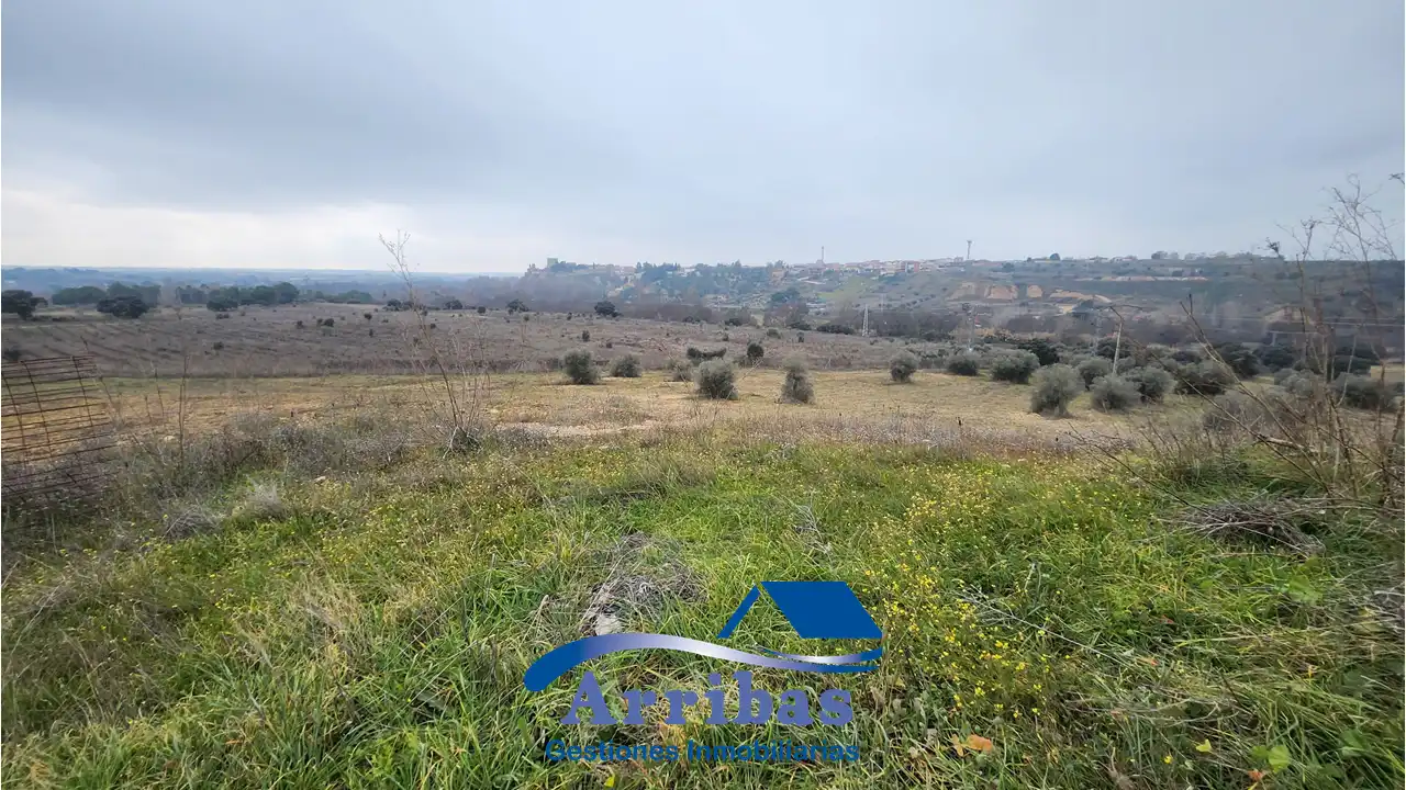 Country homes for sale in Escalona