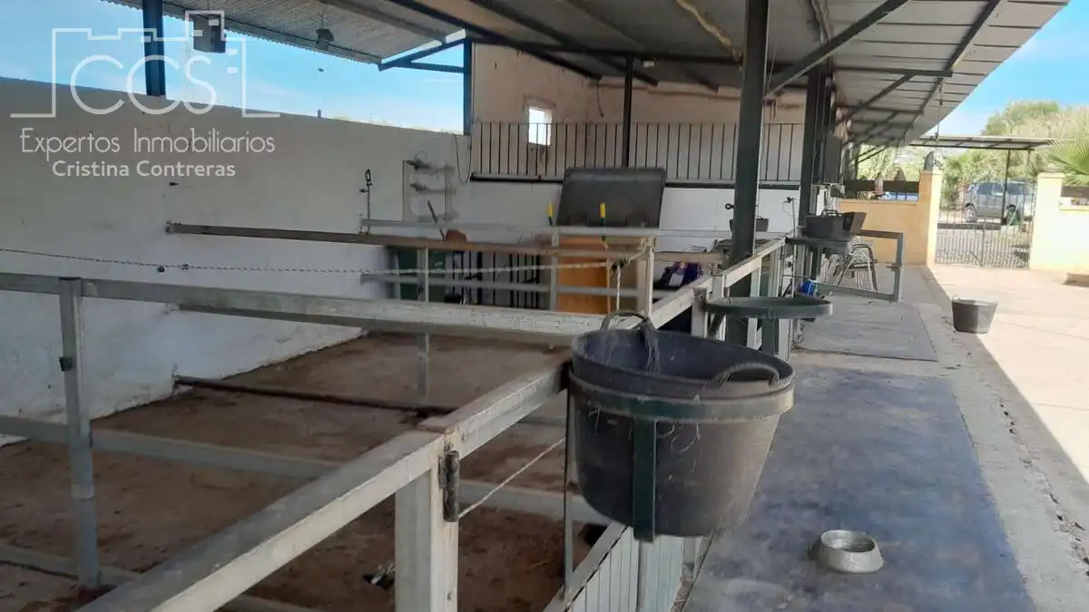 Casa rústica amb jardí en venda a Almonte ciudad, imagen 30