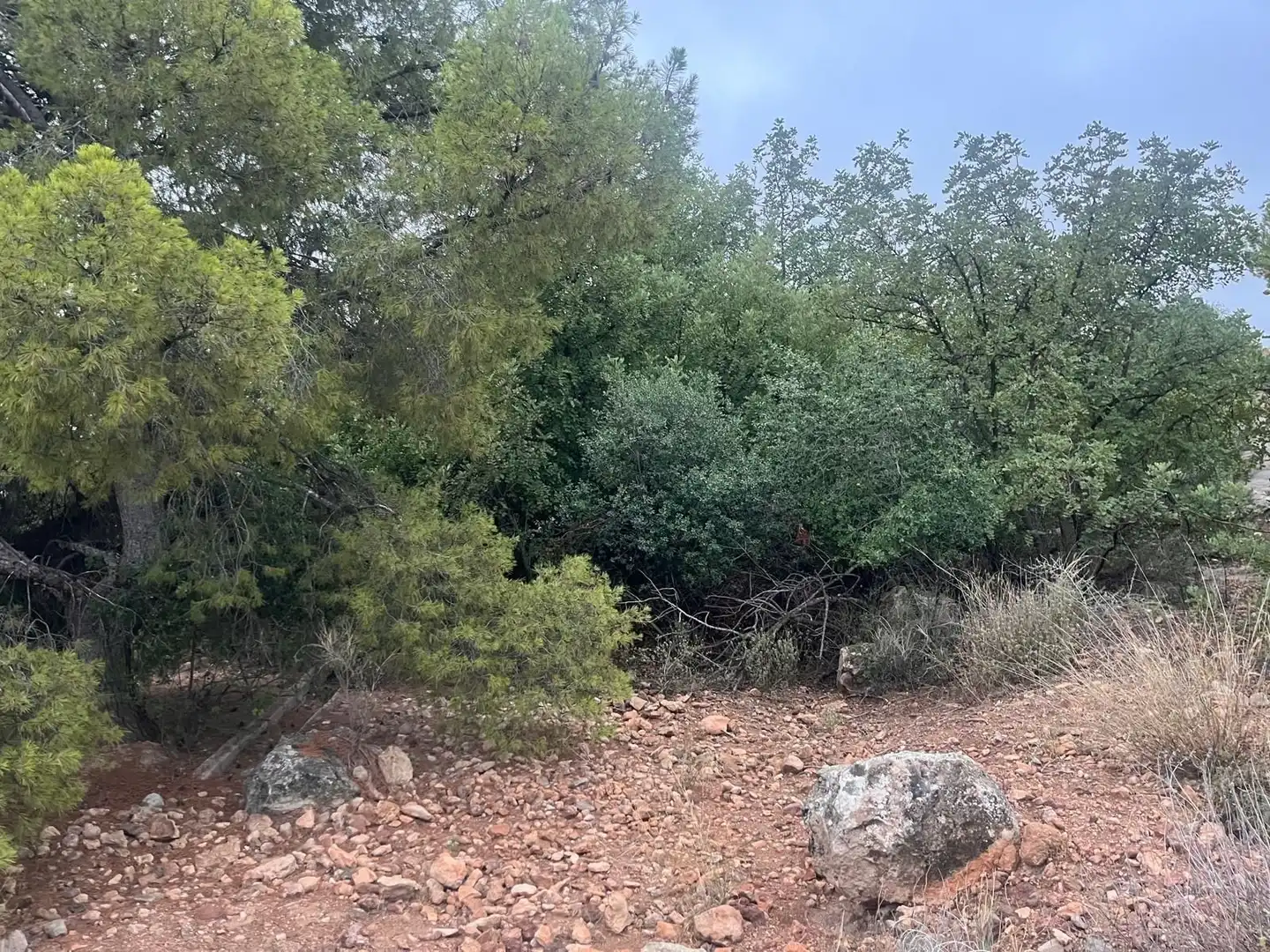 Residencial en venta en Totana