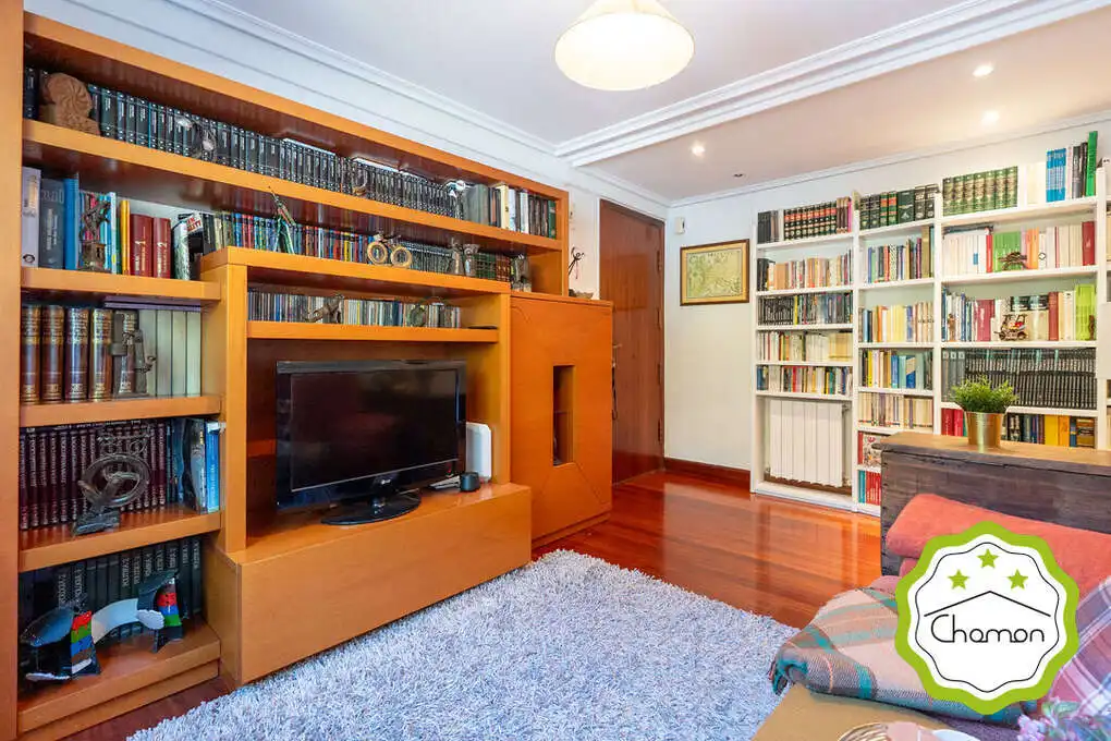 Sala de estar de Piso en venta en Bedia, Bizkaia