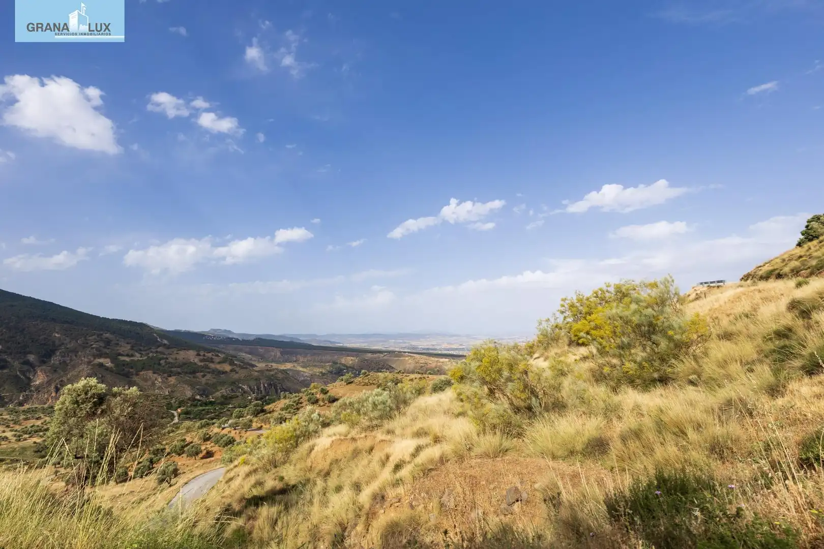 Terreno rústico en venta en Haza del Collado, imagen 4