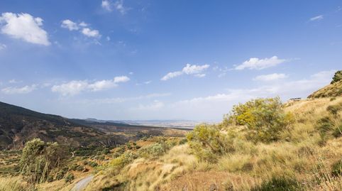 En Venta Maravilloso Paraje Natural, a medio camino entre Granada y Sierra Nevada, a veinte minutos en coche, desde cada una de el, imatge 4
