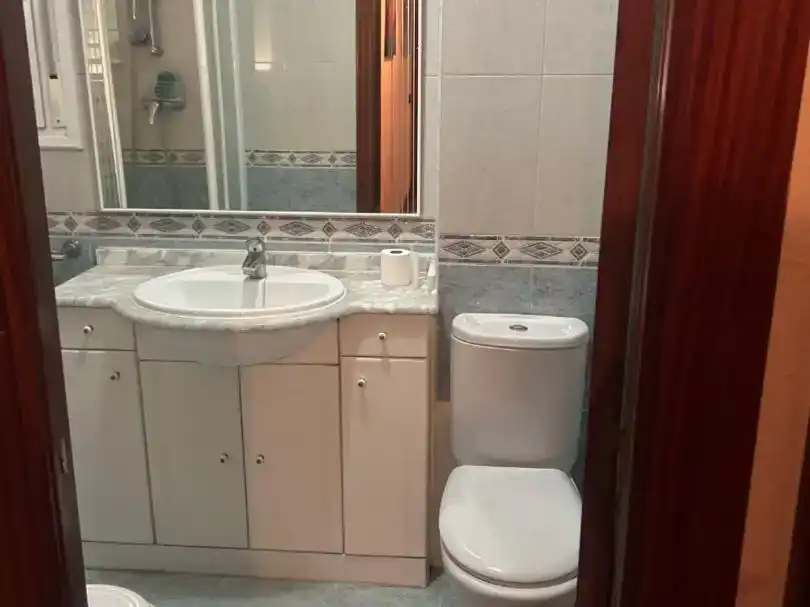 Bathroom of Flat for rent in Centro