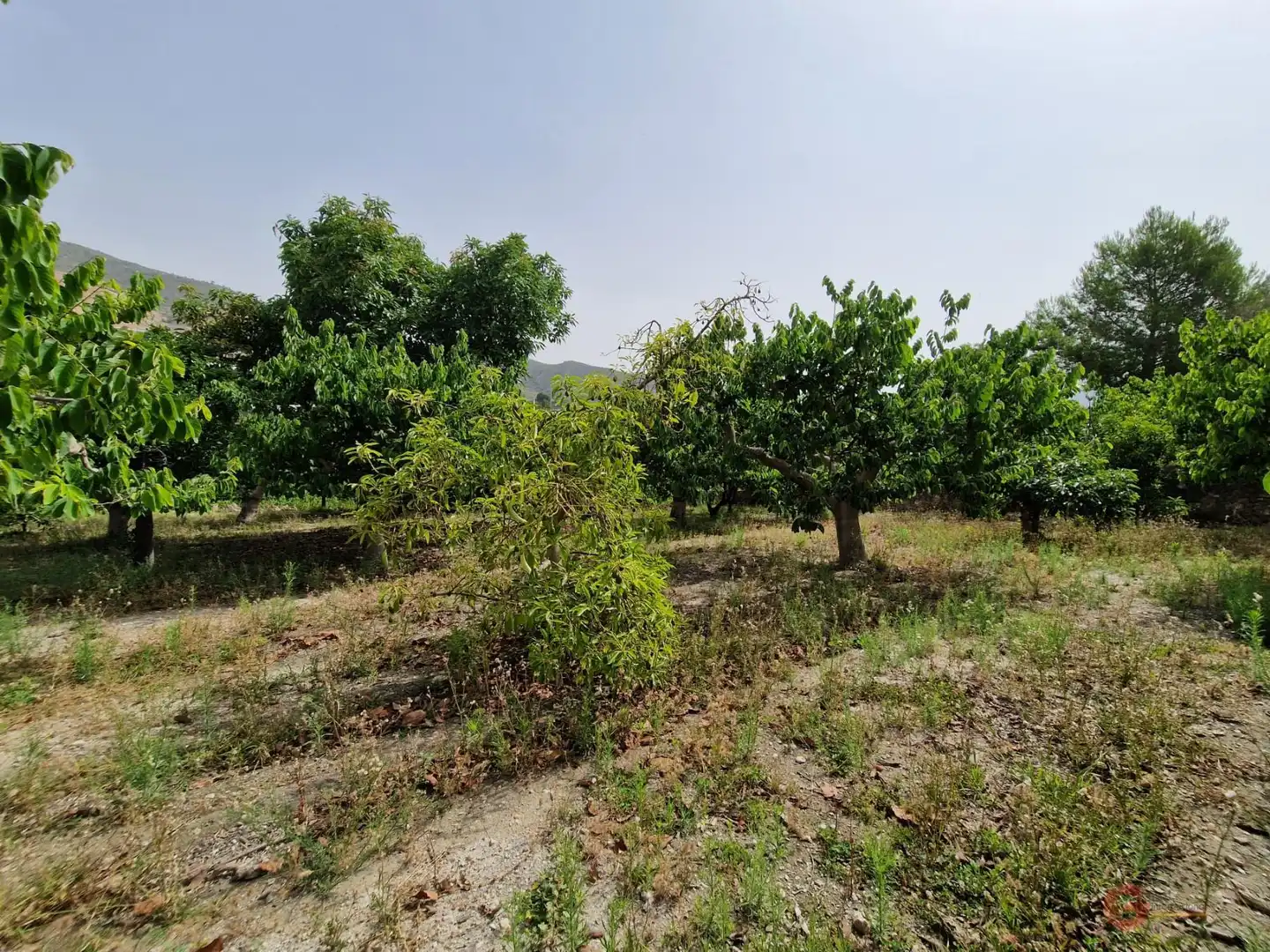 Country homes for sale in Lobres