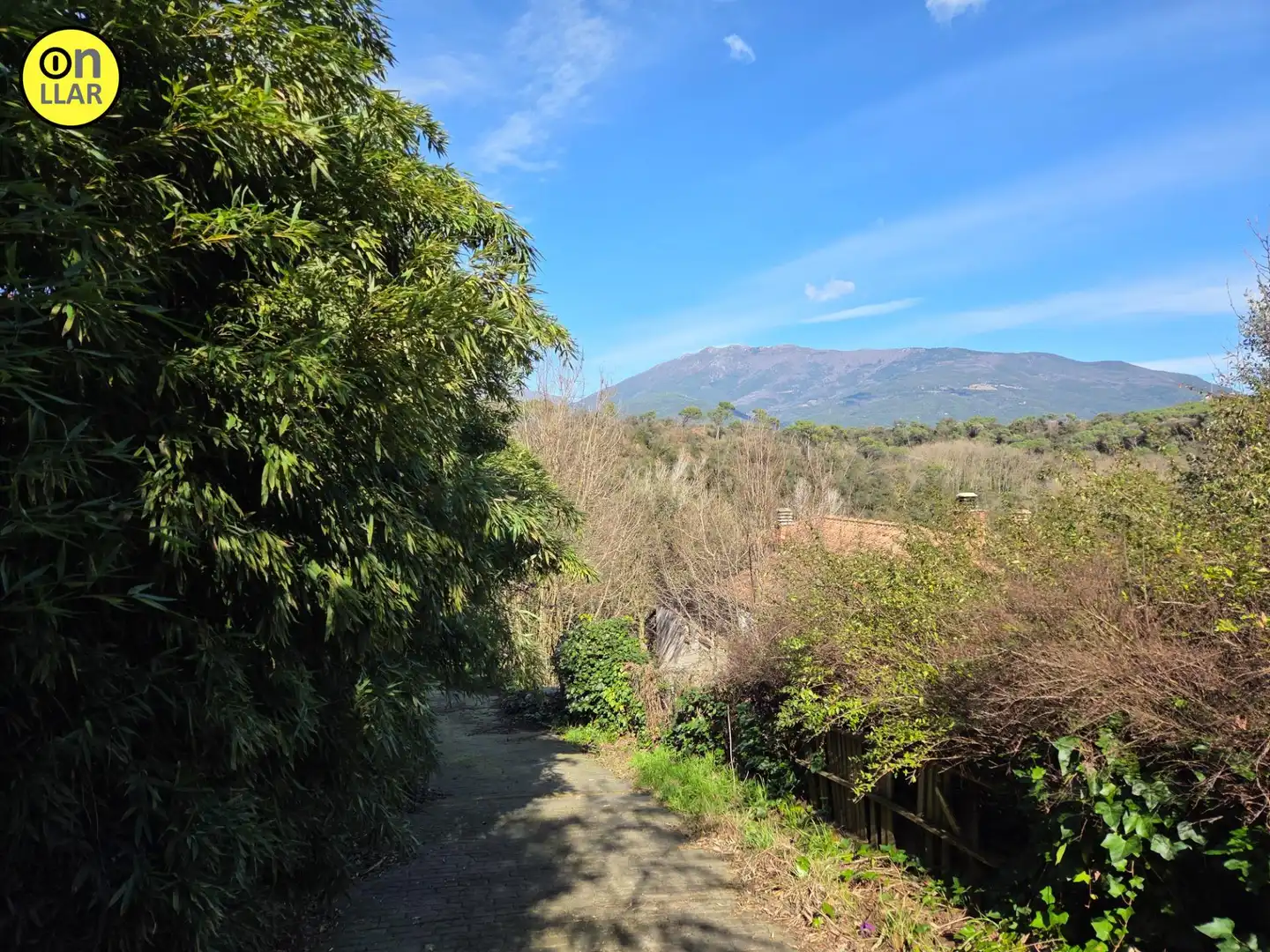 Vista exterior de Casa o chalet en venta en Sant Pere de Vilamajor