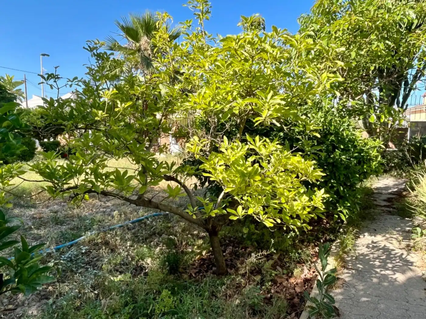 Villa avec terrasse à vendre à Elche ciudad, imagen 65