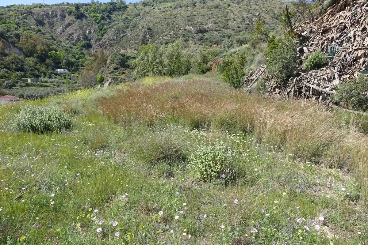 Casa rústica en venda a Órgiva, imagen 4