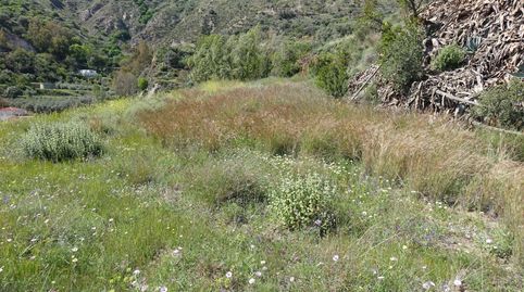 Finca Rúst. en venta en Polígonos., immagine 4
