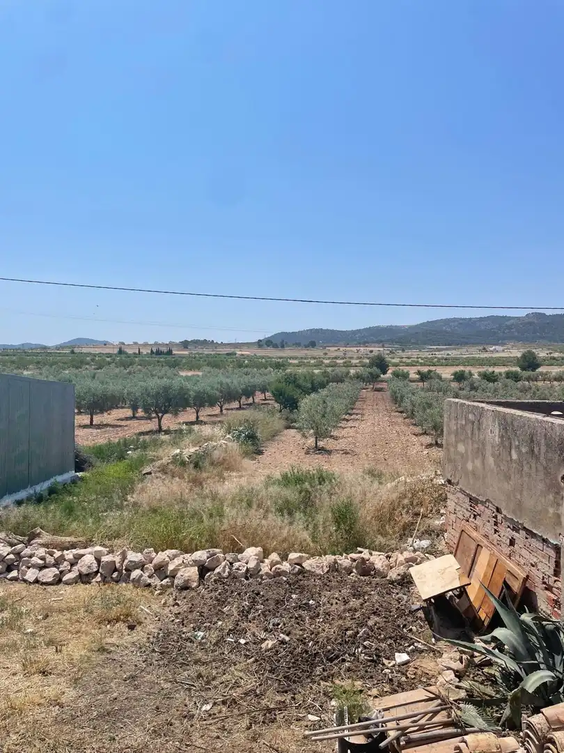 Casa rustica in vendita a Jumilla, imagen 6