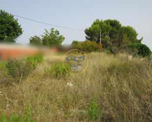 Terreny industrial en venda en Ontinyent