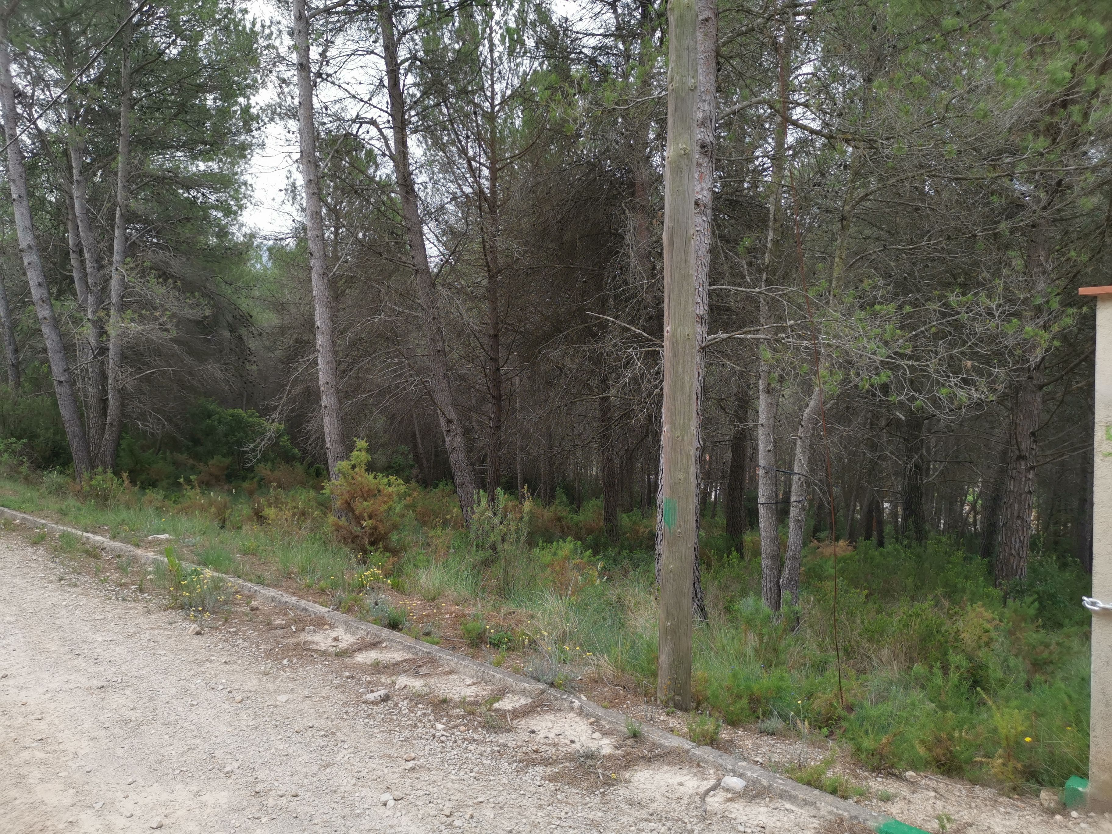 Residential for sale in Avinguda Gaudí, 14