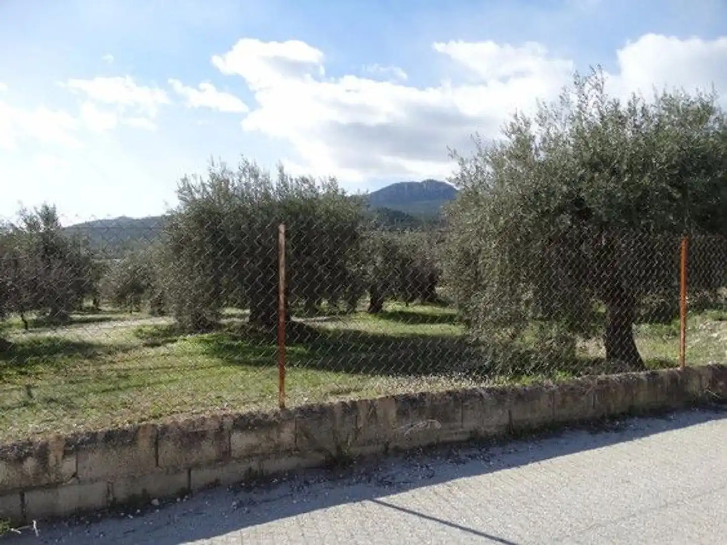 Terreni e lotti in vendita a Moratalla