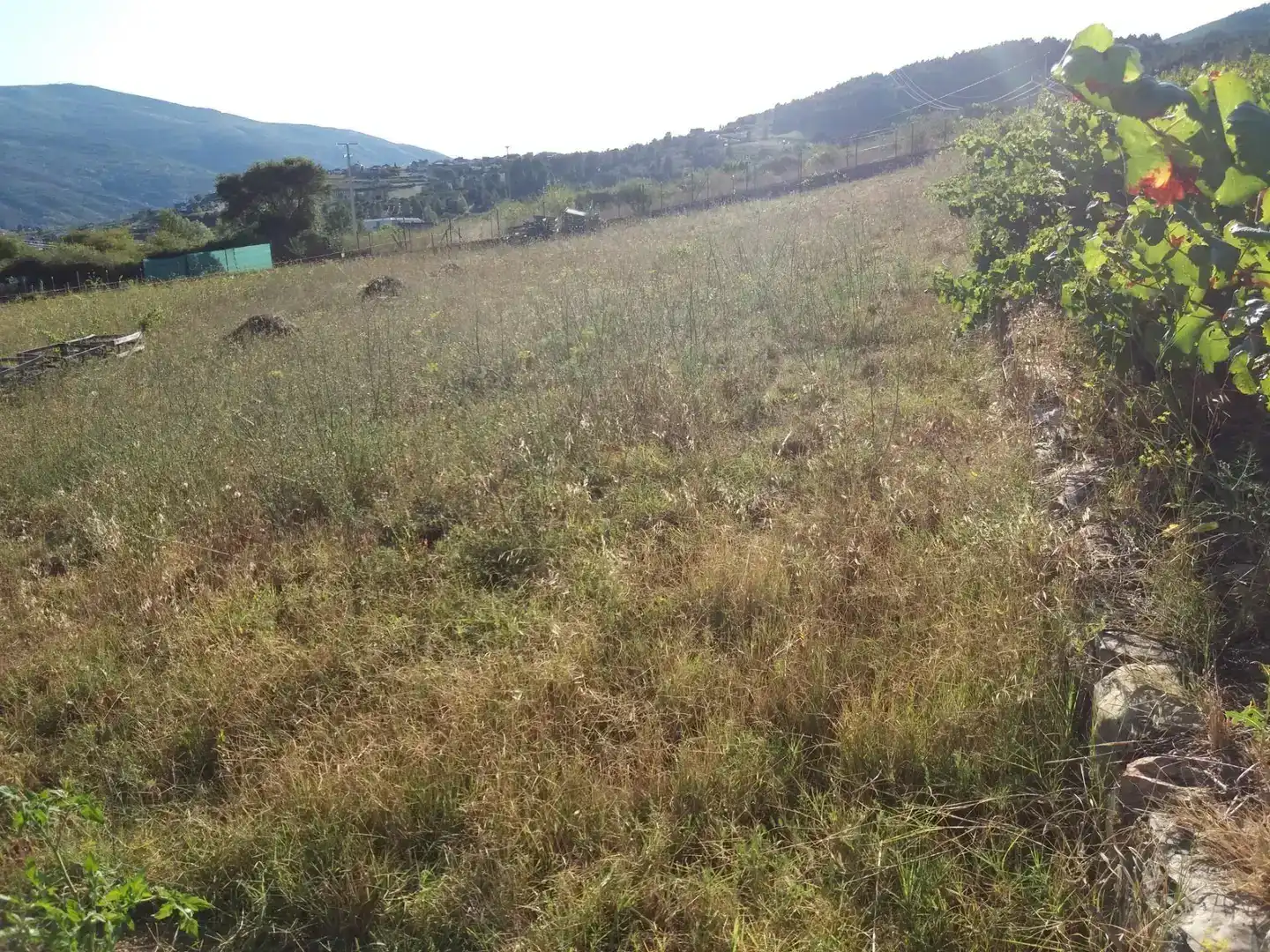 Terreno en venta en Rubiá
