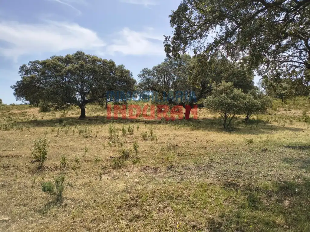 Finca rústica en venda en Talaván