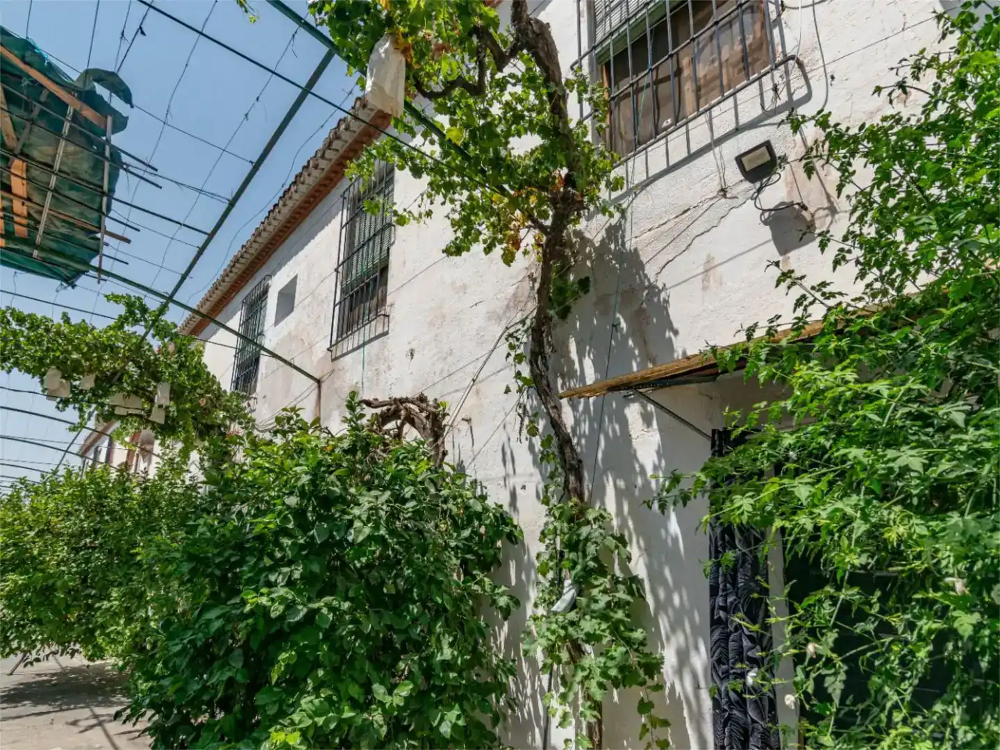 Vista exterior de Piso en venta en Granada con Jardín privado y Piscina
