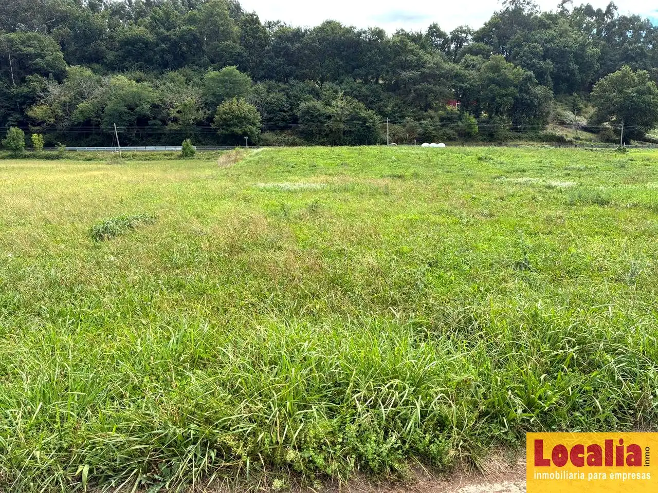 Rural land for sale in Carandía, imagen 5