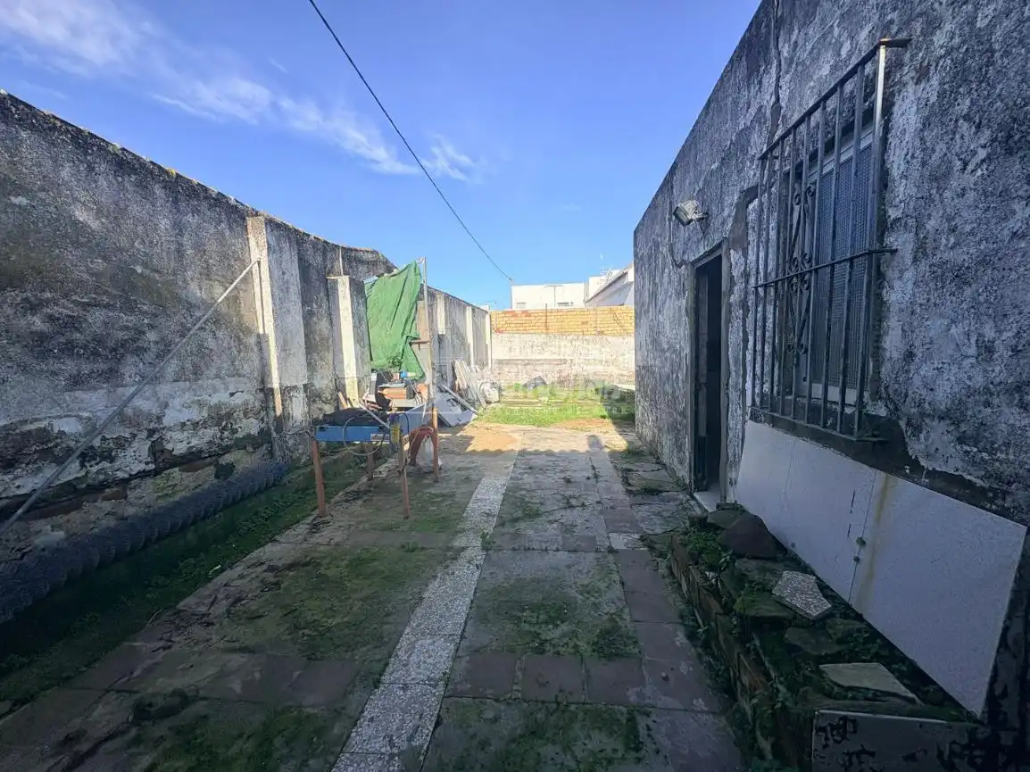Vista exterior de Finca rústica en venta en Barbate