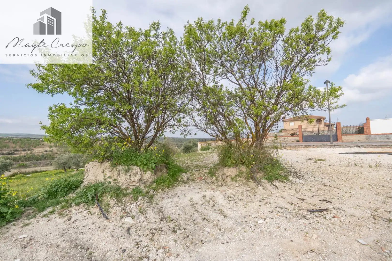 House with pool for sale in Calle del Geranio 29, imagen 32