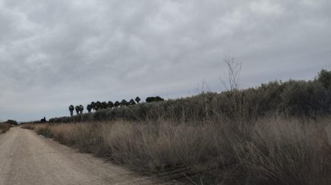 Terreno de Regadío  La Hoya, Lorca, immagine 3