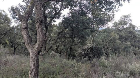 Foto 5 de Residencial en venda a Montperdut, Pedret i Marzà, Girona