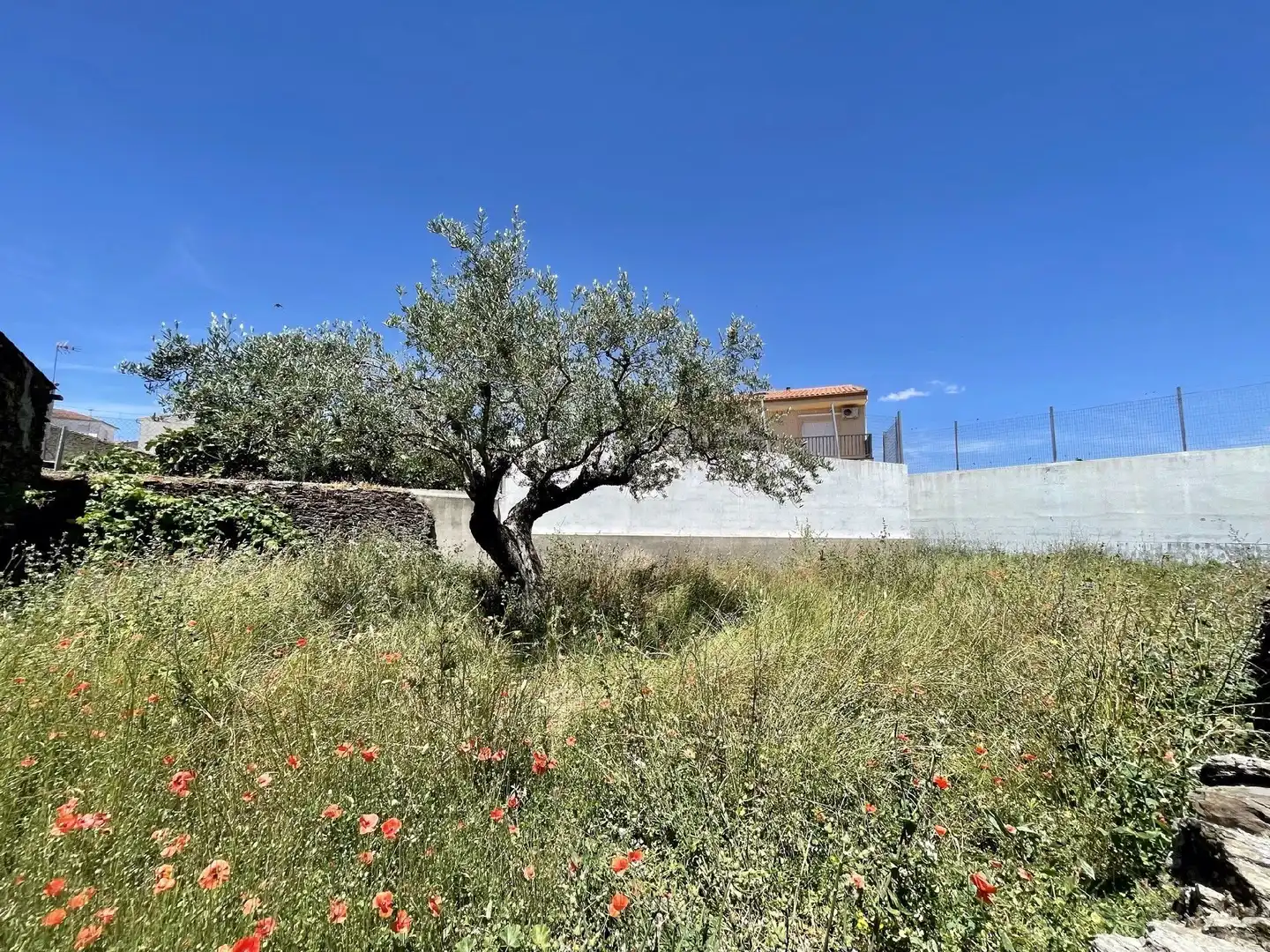 Terreni e lotti in vendita a Malpartida de Plasencia, imagen 3