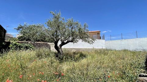 Immagine 3 dell'annuncio
