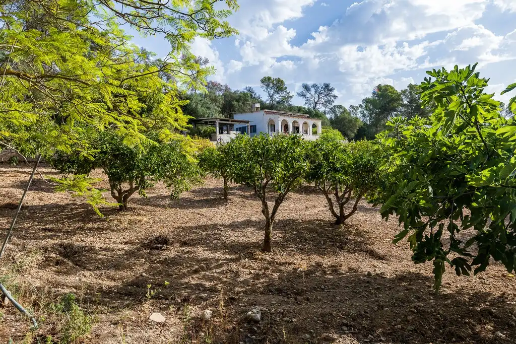 Casa rustica con giardino in vendita a Algaida, imagen 33