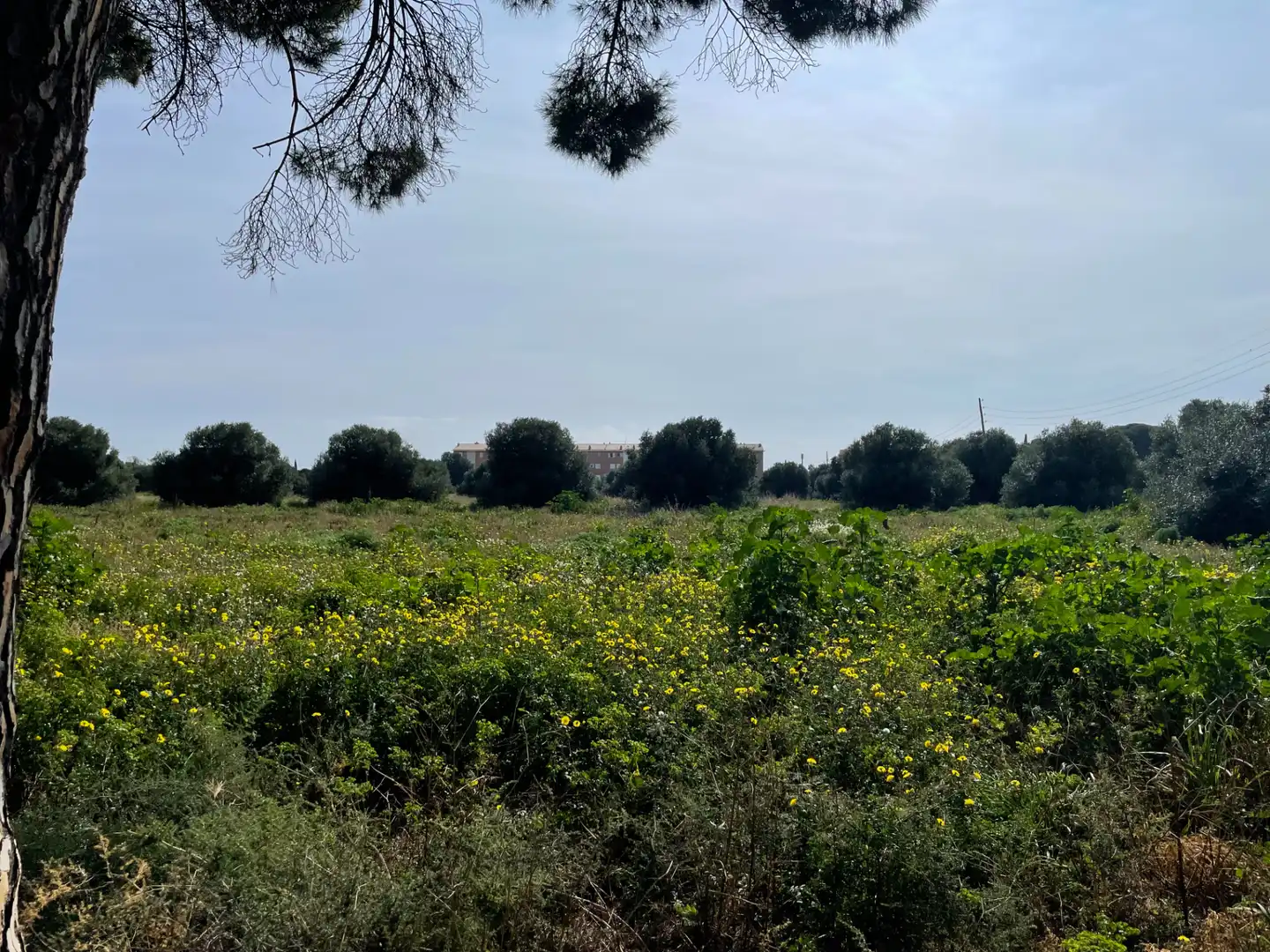 Residential zum Verkauf in Cambrils