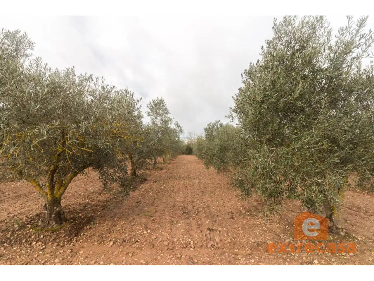 Residencial en venta en Badajoz