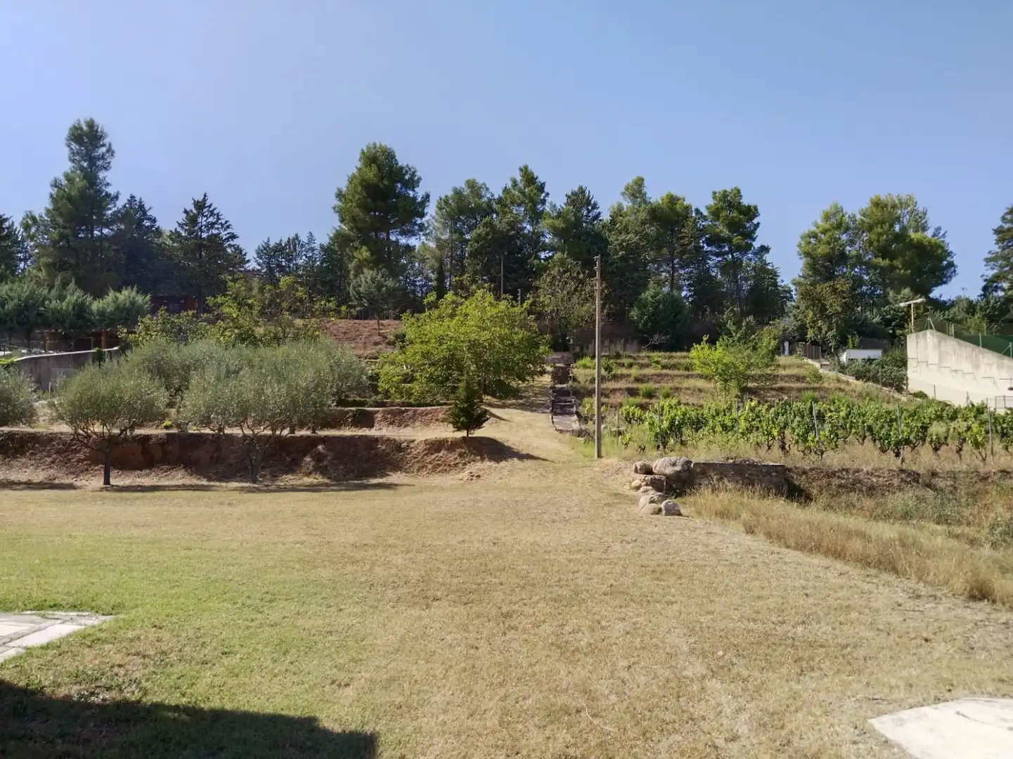 Houses for sale in Nalda