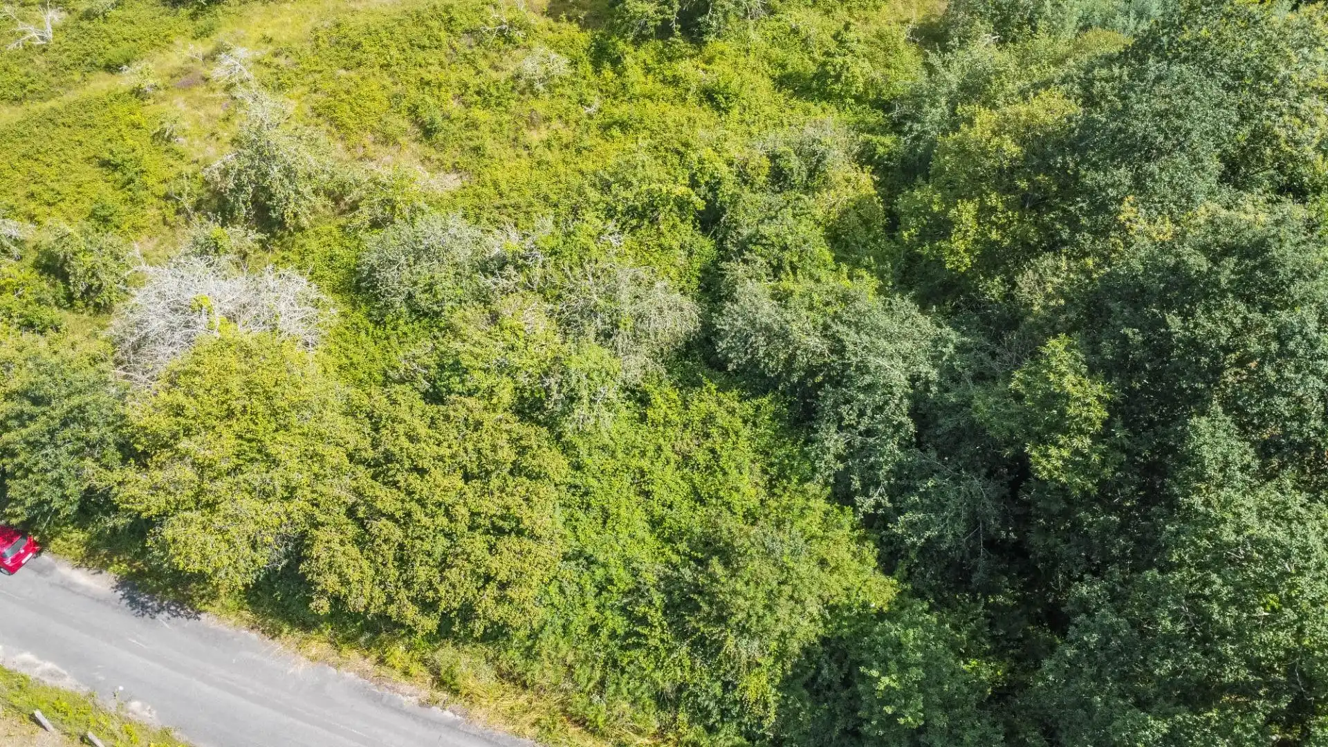 Rural land for sale in del pareo, imagen 10