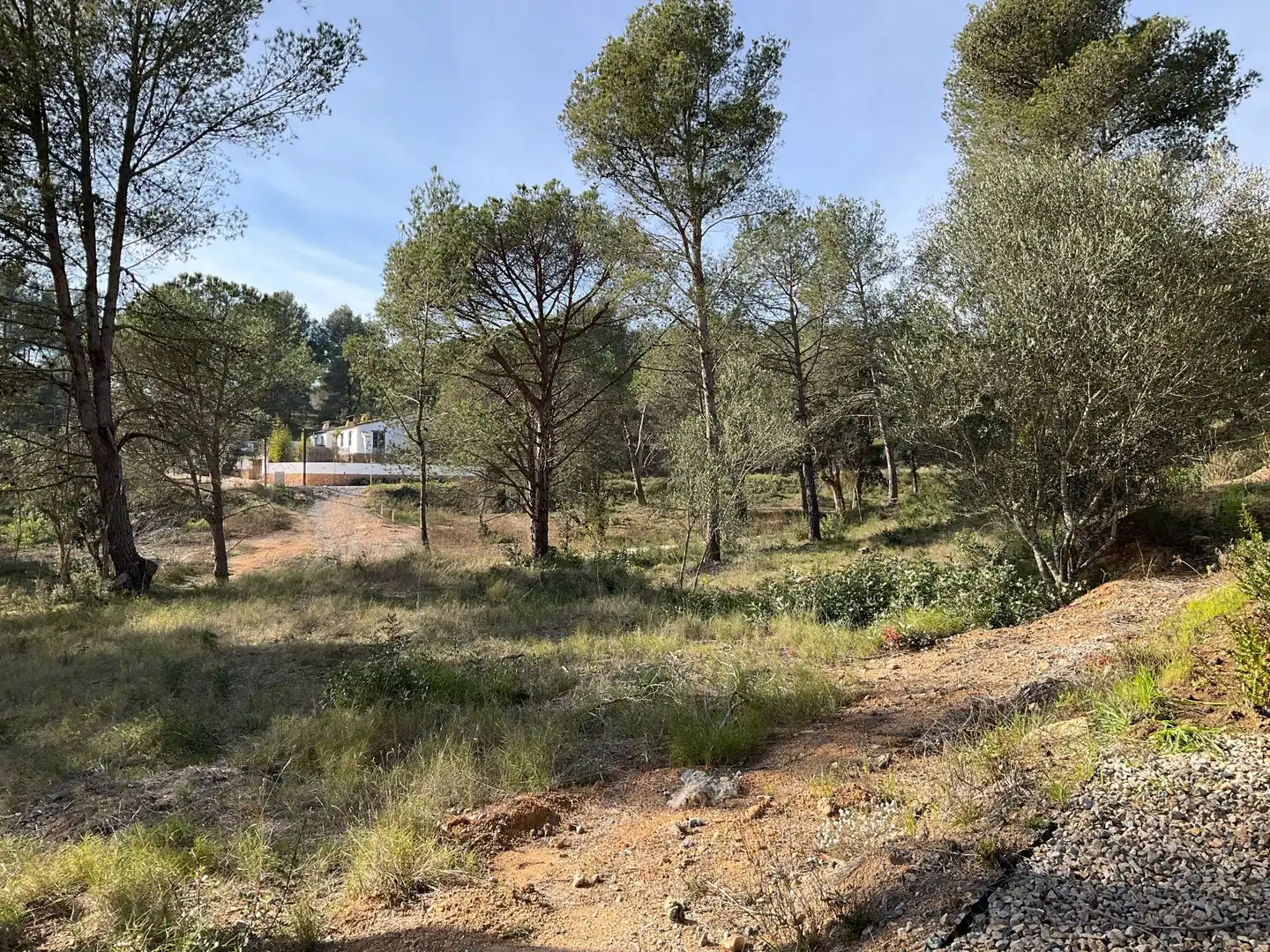 Terrenys i solars en venda a Sant Joan - Vilarromà, imagen 4