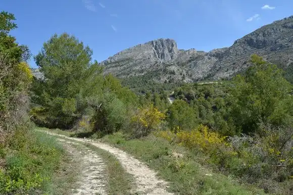 Terrenos y solares en venta en Beniardà, imagen 8