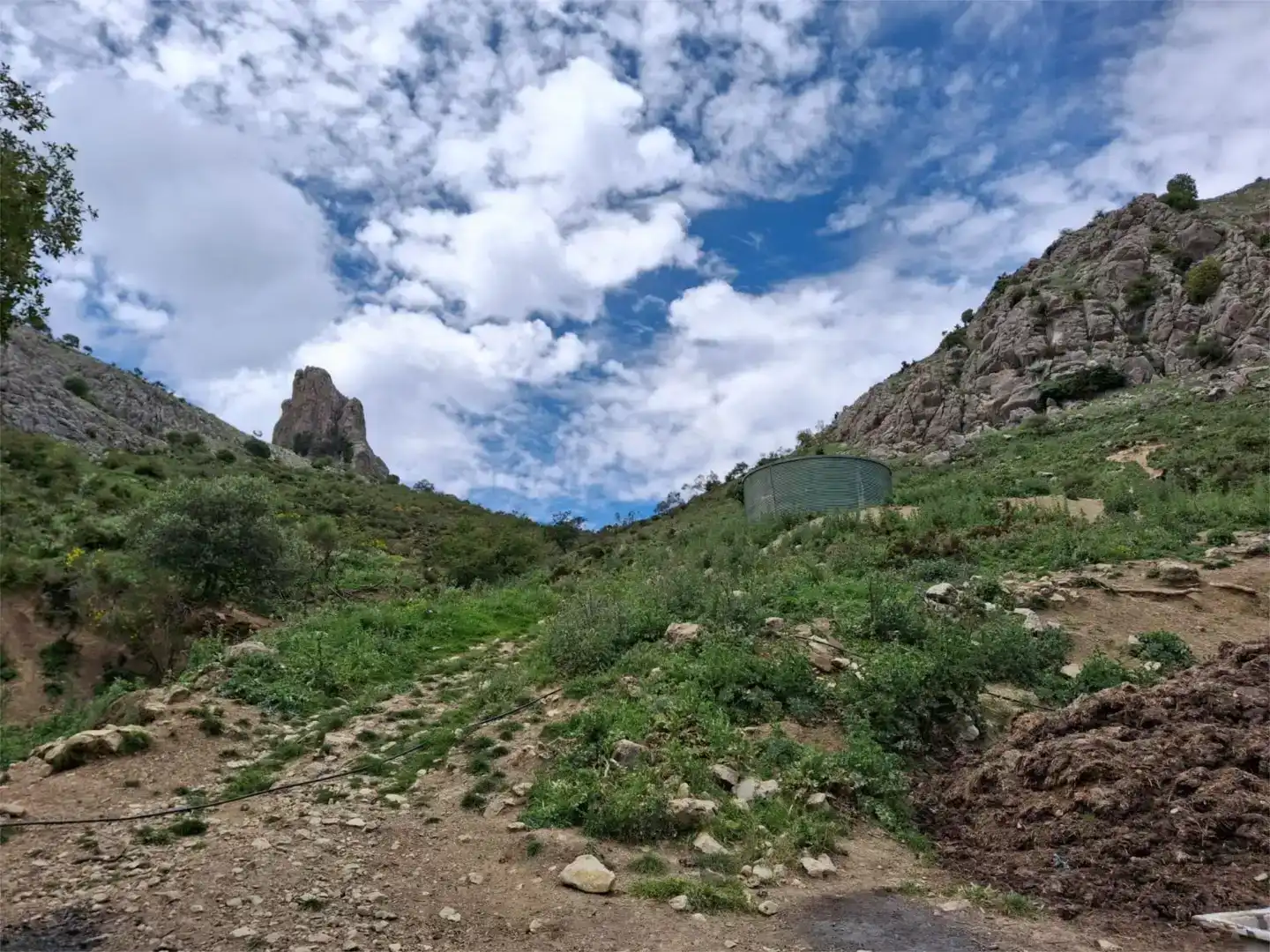 Finca rústica en venda en Alfarnate