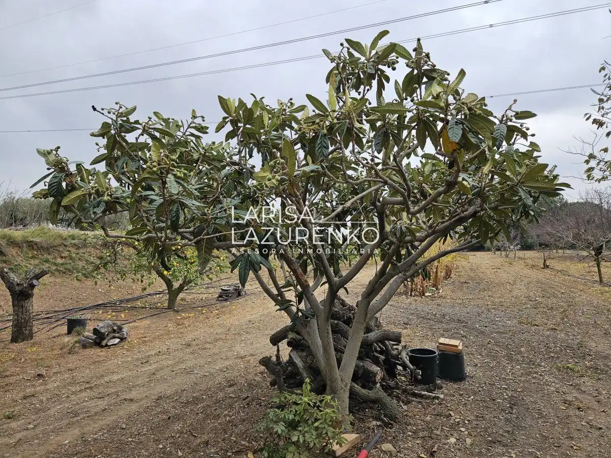 Finca rústica en venda en Riudoms
