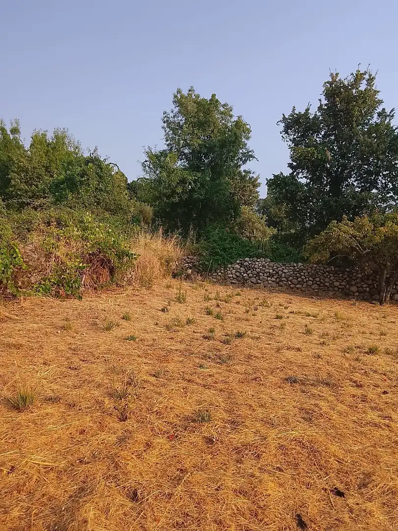 Terreni e lotti in vendita a Villanueva de la Vera, imagen 10