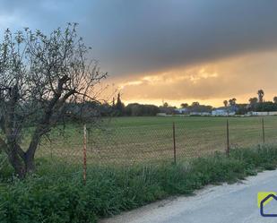 Terreny en venda en Conil de la Frontera