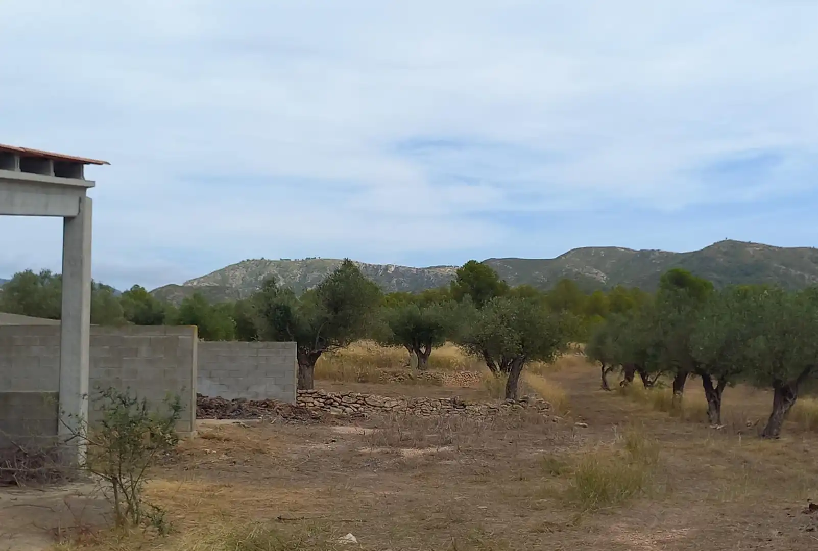 Finca rústica en venta en Tivissa