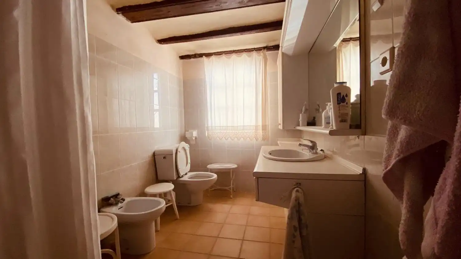 Bathroom of Country homes for sale in Torrecilla de Alcañiz  with Private garden, Terrace and Storage room
