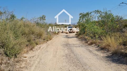 Photo 3 of Land for sale in Partida la Cañada, Cañada del Fenollar, Alicante