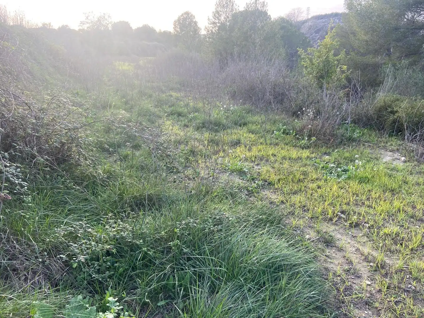 Terreno residenziale in vendita a Albaida, imagen 10