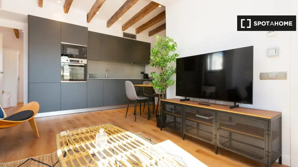 Flat with terrace to rent in Ciutat Vella, imagen 4