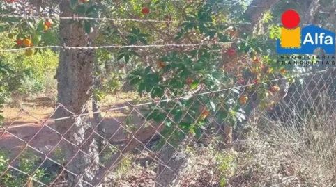 Terreno en venta en LA MONTAÑA  Cáceres Cáceres, imatge 3